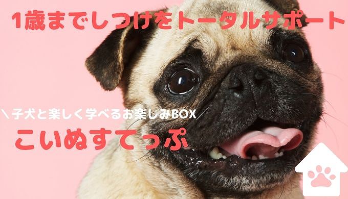 こいぬすてっぷ の評判や口コミ 子犬のしつけ方と育て方 ゆうきのサブスクライフ